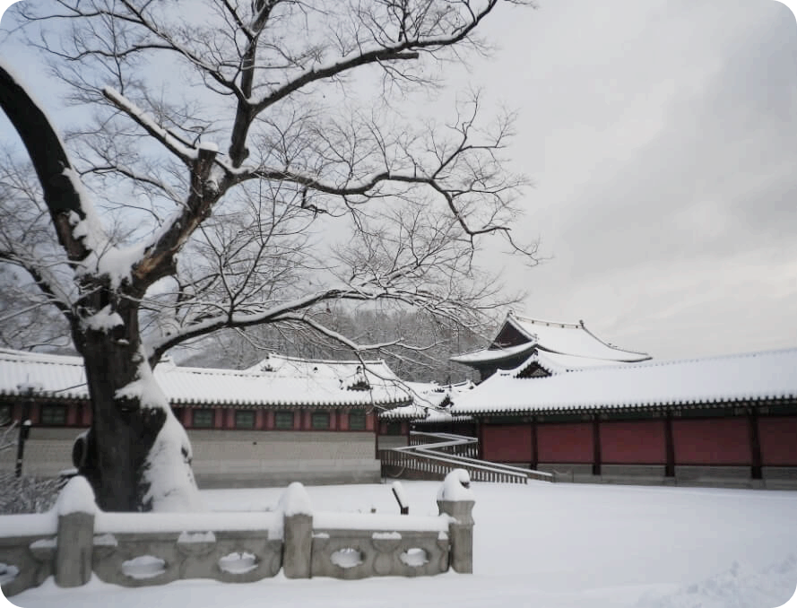 창덕궁 후원 예약 알아보기 - 창덕궁 관람시간 및 요금 - 창덕궁 관람요금