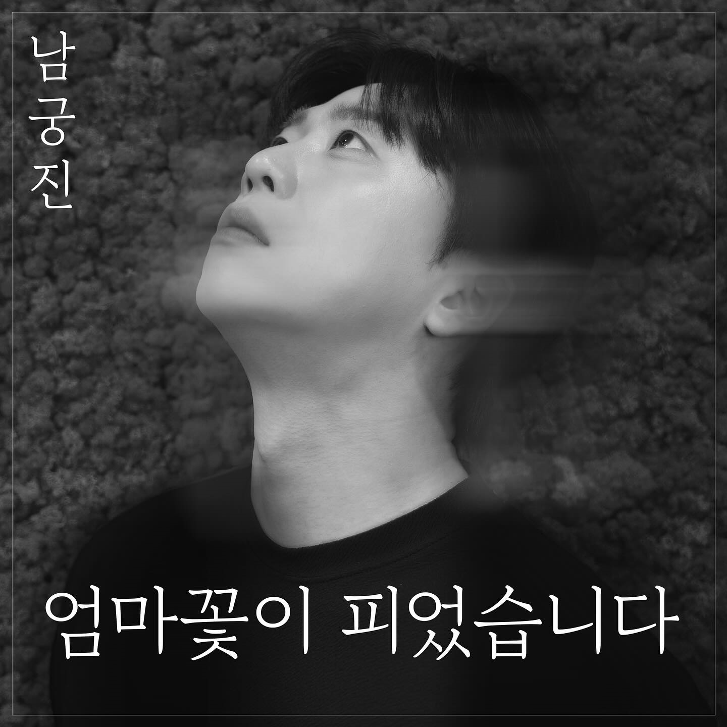 남궁진