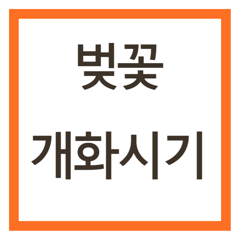 벚꽃 개화시기