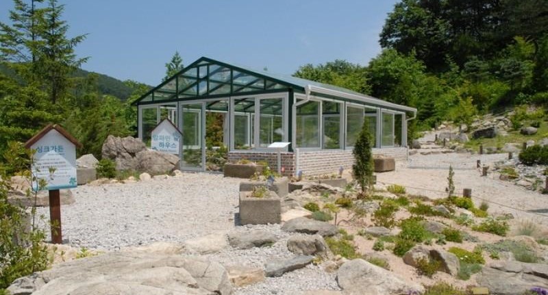 포천 평강식물원 완벽 가이드: 고산습지의 보석에서 만나는 사계절 자연의 예술