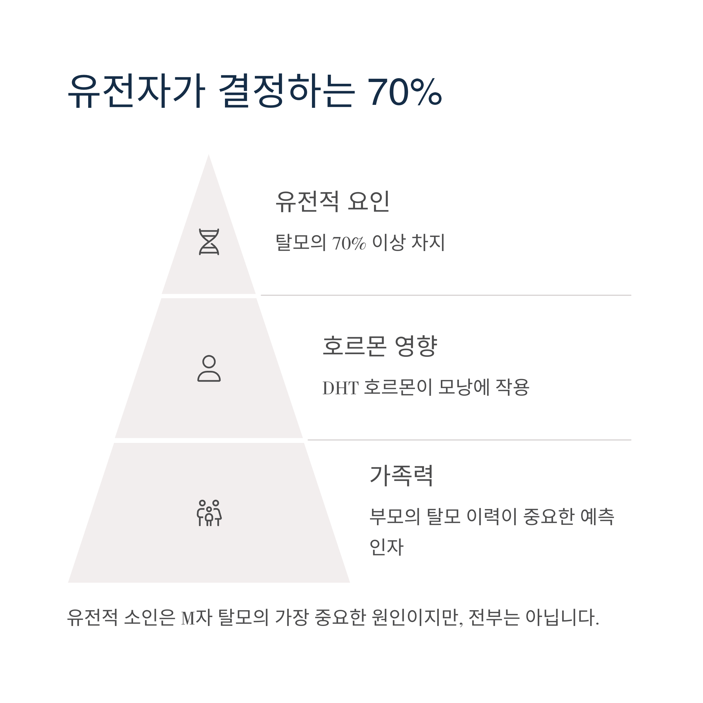 탈모의 원인 그래프