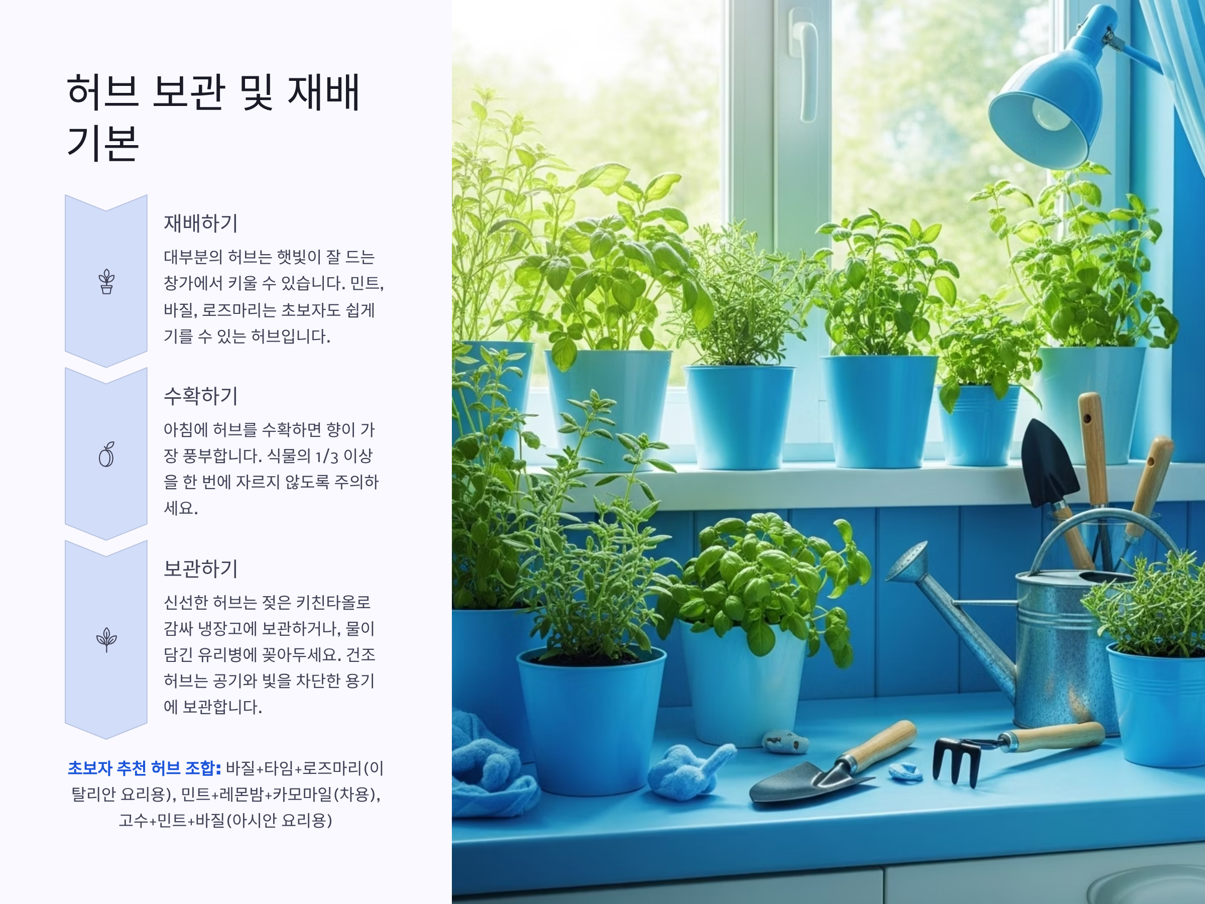 허브 보관 및 재배 기본