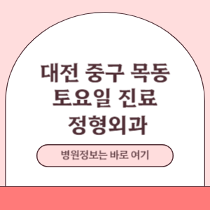 대전 중구 목동 토요일 정형외과 진료 병원