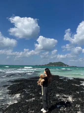 제주 여행 필수 코스 우도 배시간표 요금 예약 방법_7