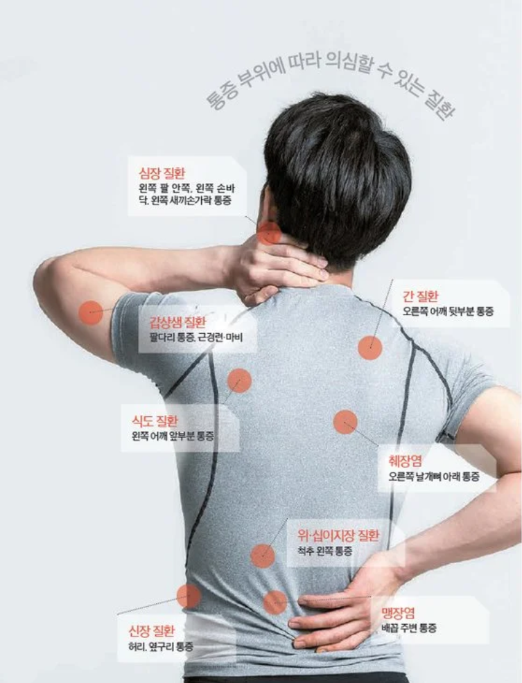 왼쪽 오른쪽 옆구리 통증 원인 5가지와 찌릿한 증상별 대처법 총정리