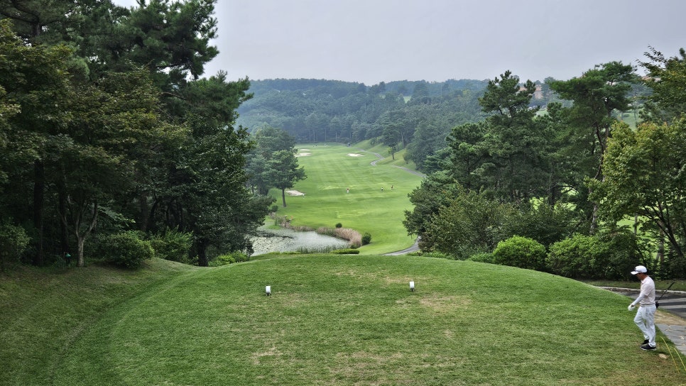 골프장 경험담 여주 세라지오CC 자연 속에서 즐기는 프리미엄 퍼블릭 골프장의 품격
