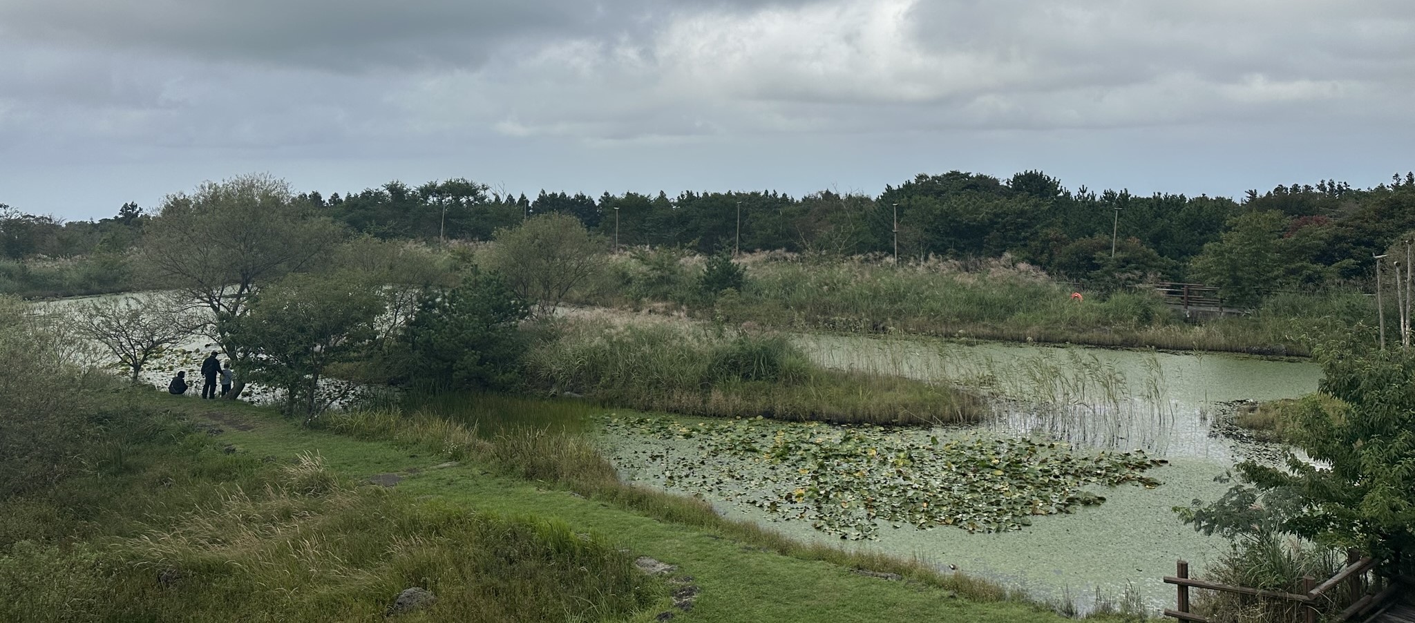 한라생태숲 자연습지