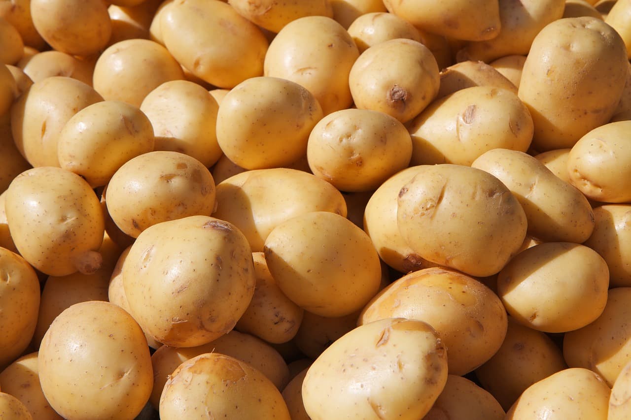 감자의 맛, 영양성분, 그리고 효능! 건강한 식재료의 대표주자
