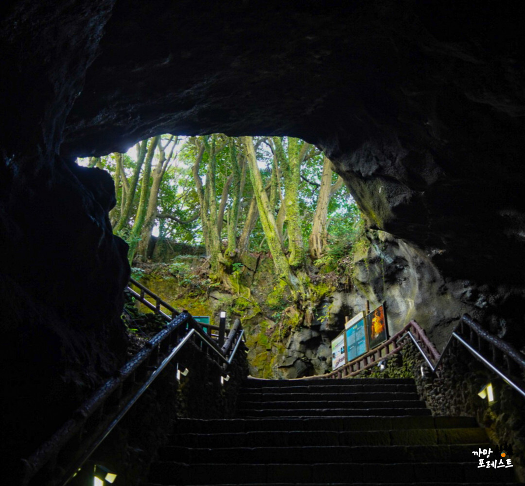 제주 만장굴