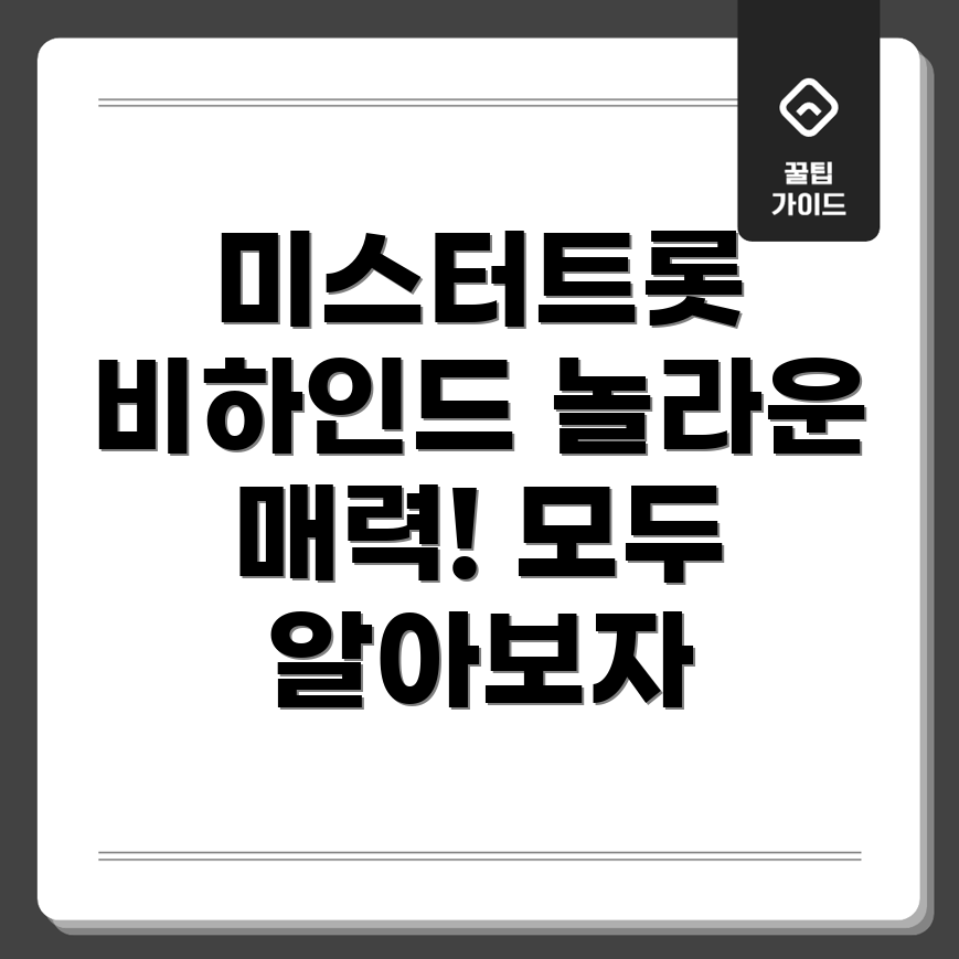 미스터트롯 공연