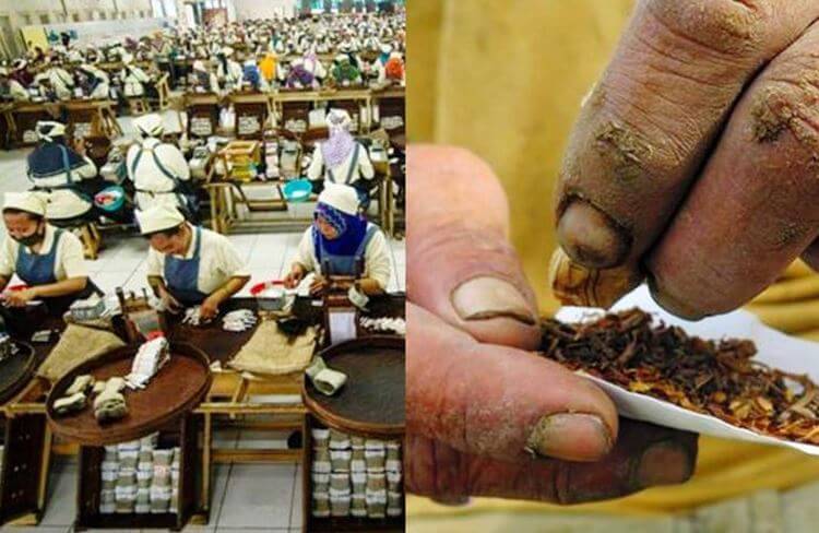 하르노토 형제 인도네시아 자룸 담배