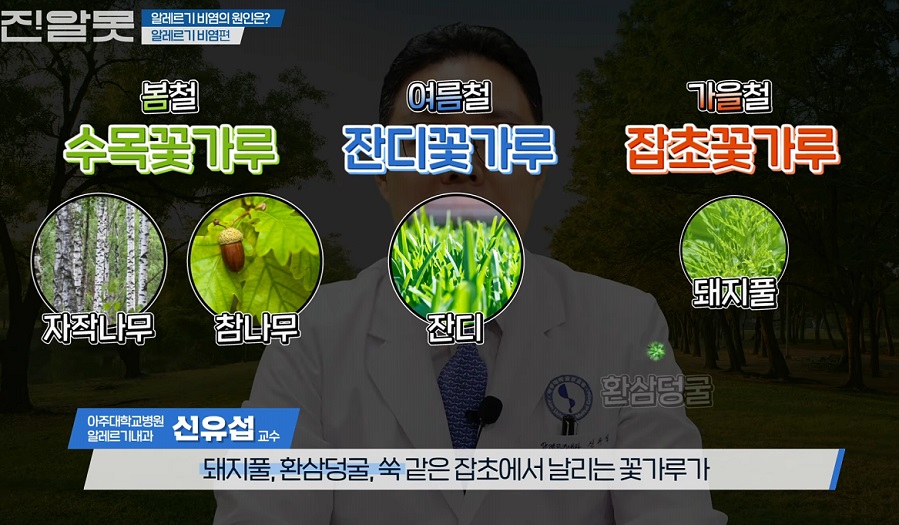 알레르기비염-명의-신유섭-교수