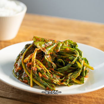 파김치 효능