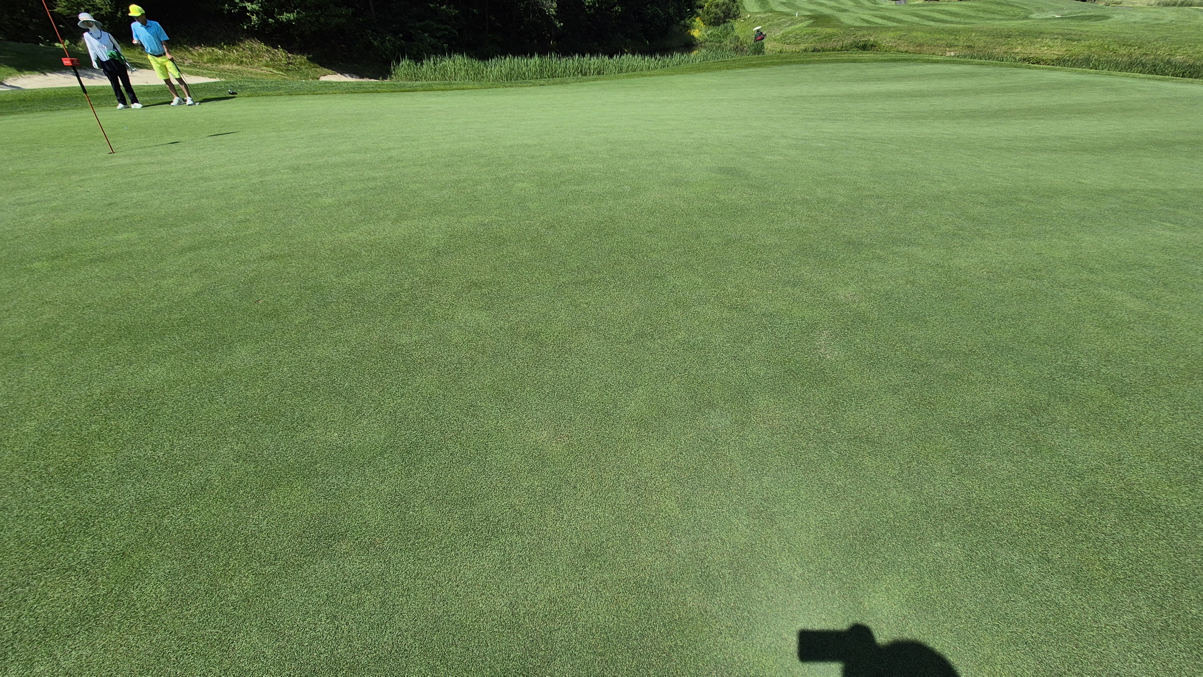 샤인데일cc 라운드 후기