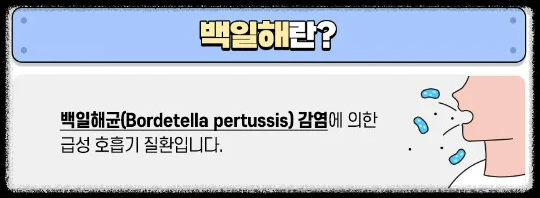 백일해 ❘ 백일해 주사 ❘ 백일해 검사 ❘ 백일해 항생제 ❘ 타 질환과의 구별방법