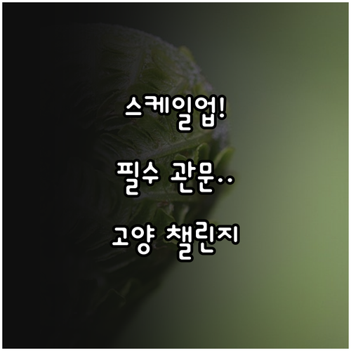 초기 창업자 스케일업 필수 관문 20..