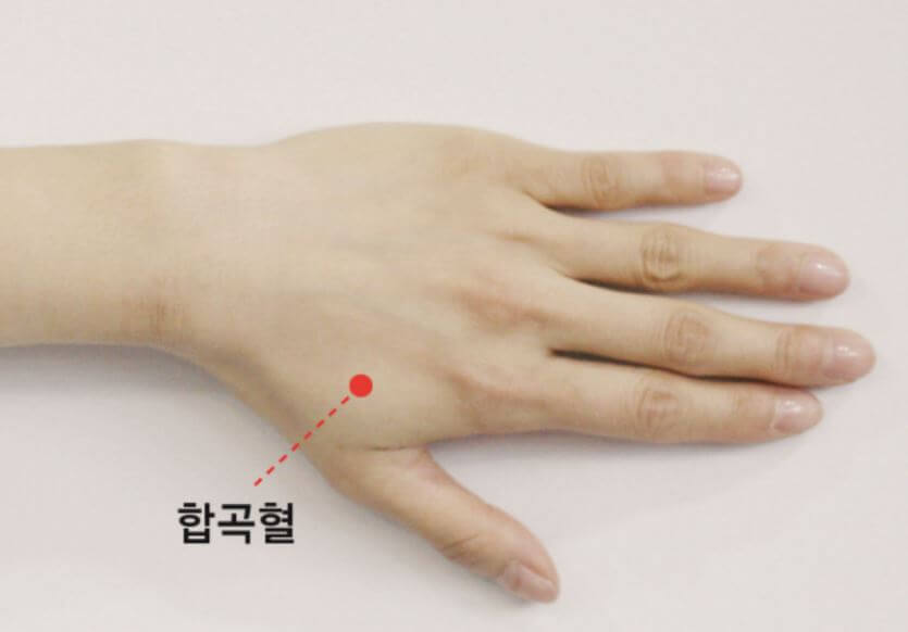 합곡혈