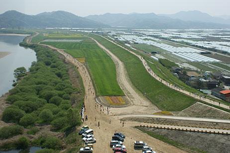 함안 악양둑방 꽃양귀비 꽃구경