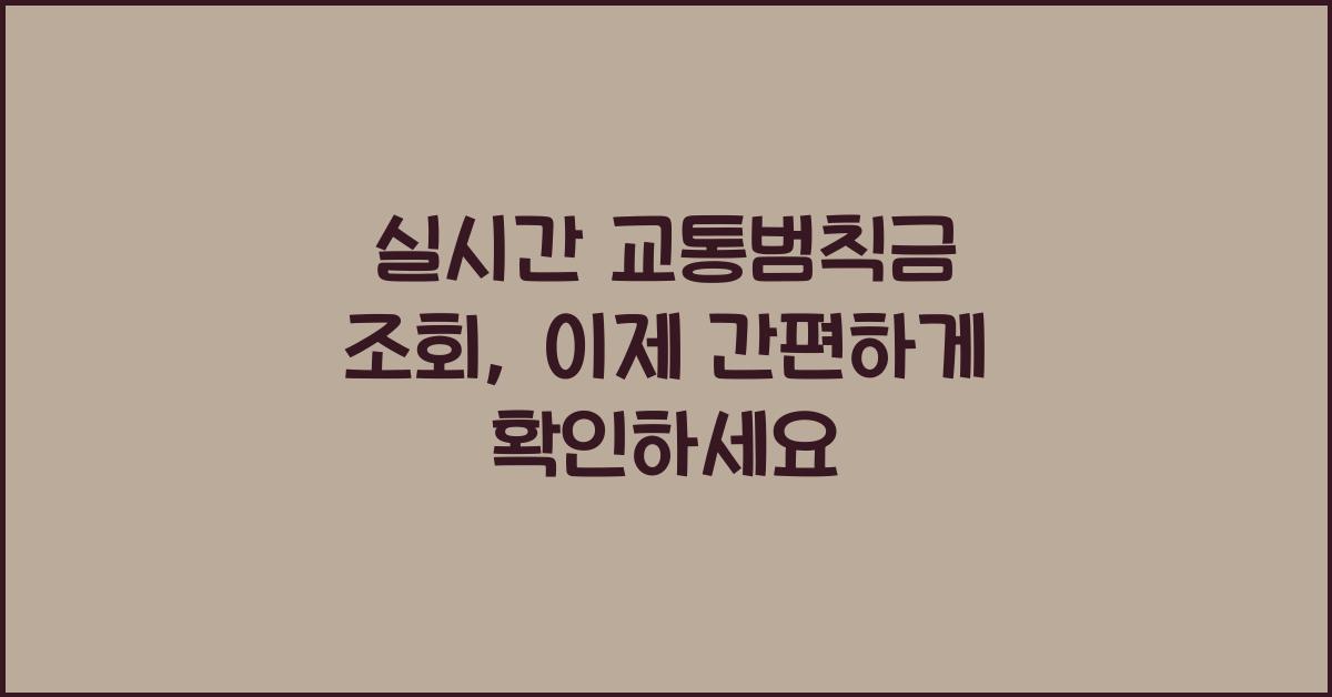 실시간 교통범칙금 조회