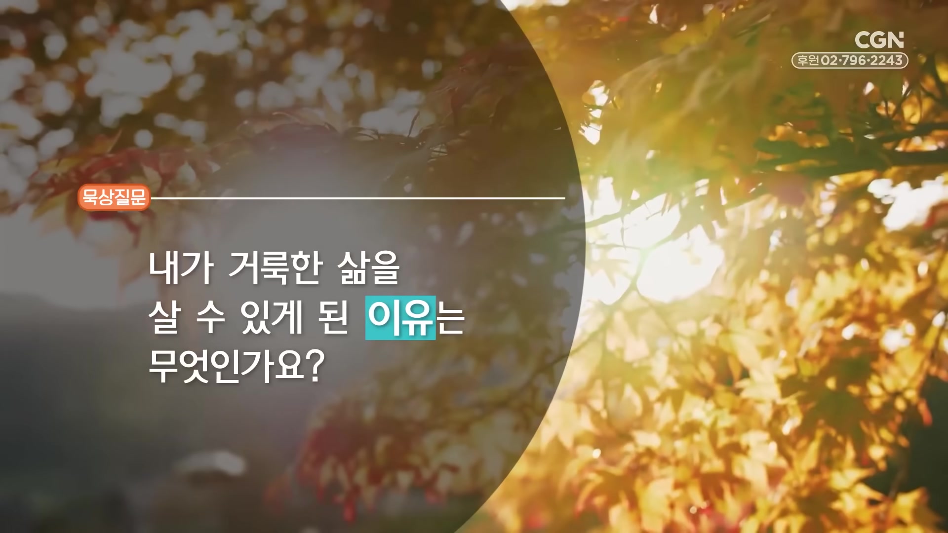 내가 거룩한 삶을 살 수 있게 된 이유는 무엇인가요?