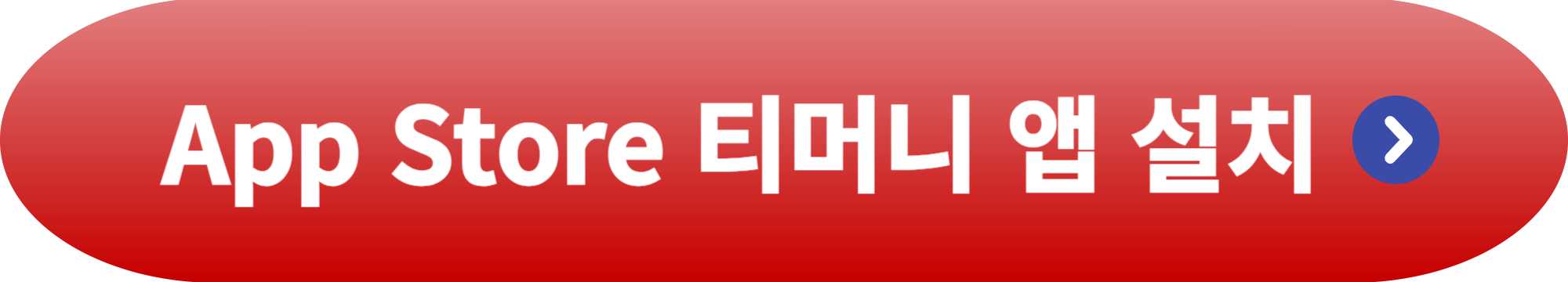 고속버스 티머니