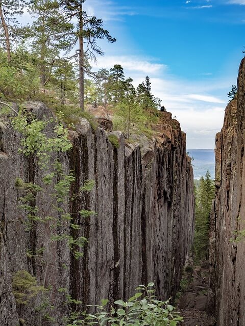 국립공원 예약시스템