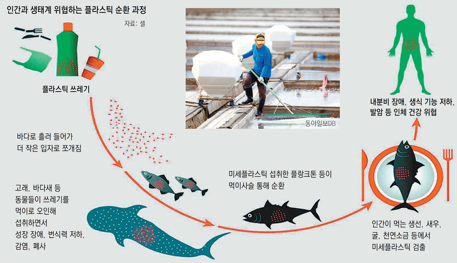미세플라스틱4