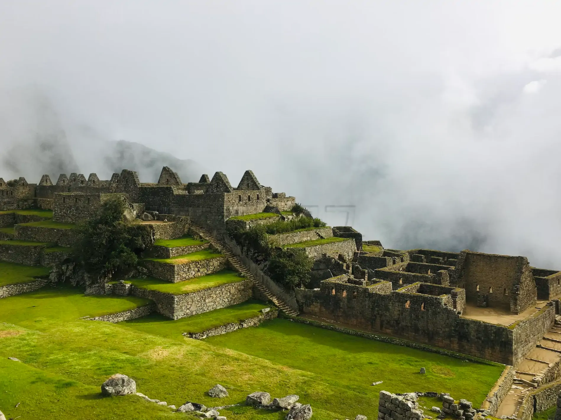 마카 생산지로 알려진 페루 사진