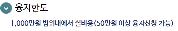 의료비 대출