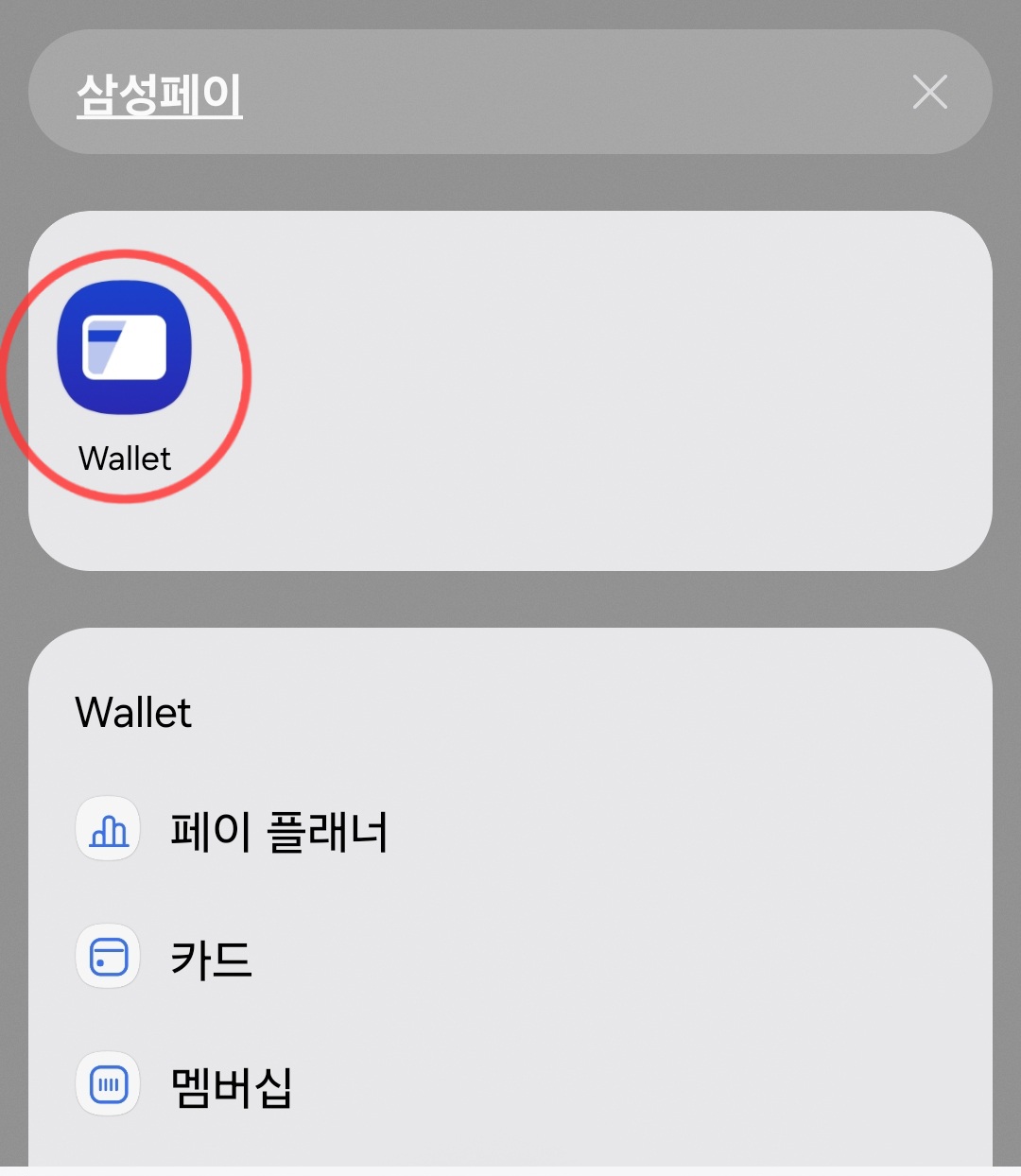 삼성페이-교통카드
