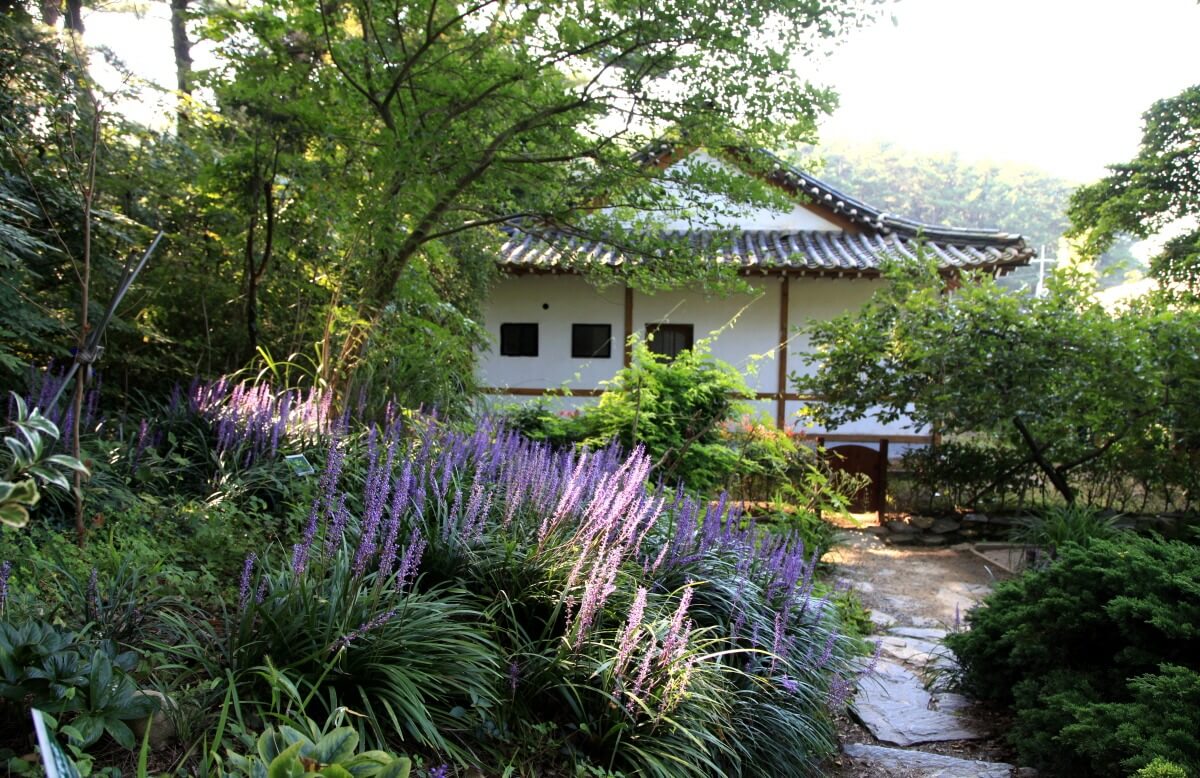 여름철 숙소 예약은 미리미리, 최저가 비교 꿀팁!