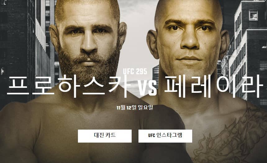UFC295프로하스카-페레이라