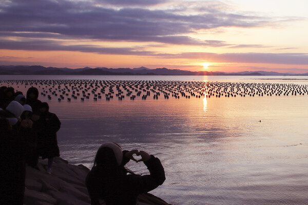 2) 무안 도리포 선착장 (전남)