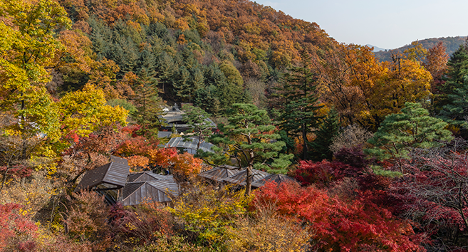 화담숲 예약&amp;#44; 모노레일 예약 과 서울 인근 단풍 명소 BEST 5