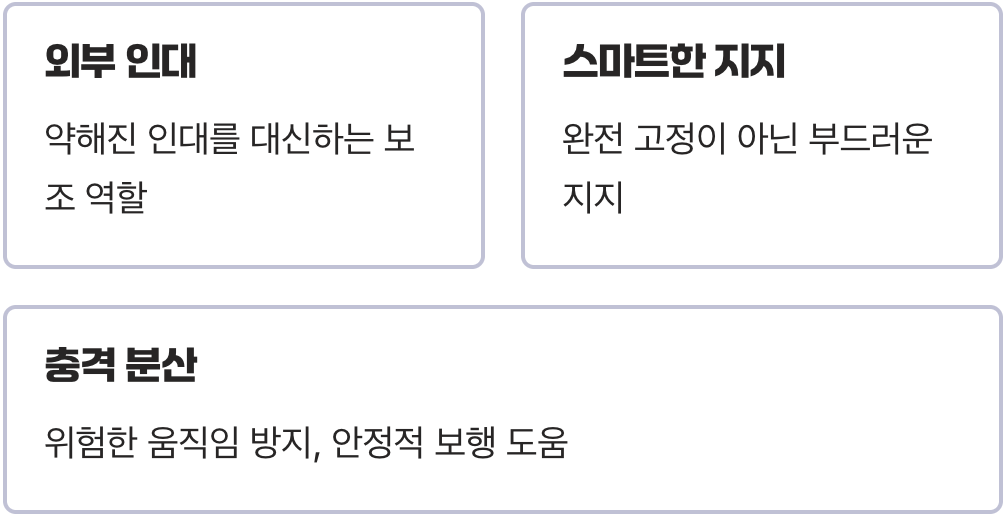 보이지 않는 &amp;#39;탄력 인대&amp;#39;의 역할