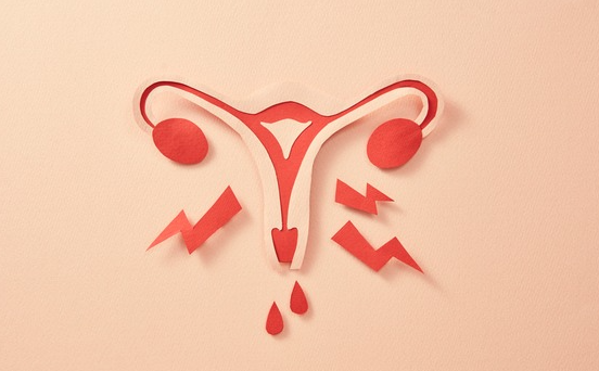 30대부터 달라지는 여성의 체지방과 생리 건강