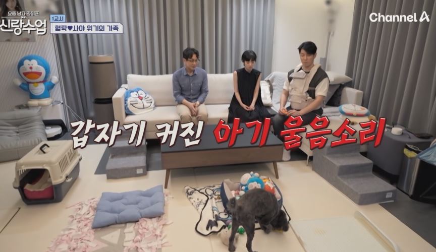 신생아를 위한 강아지 교육훈련 수의사