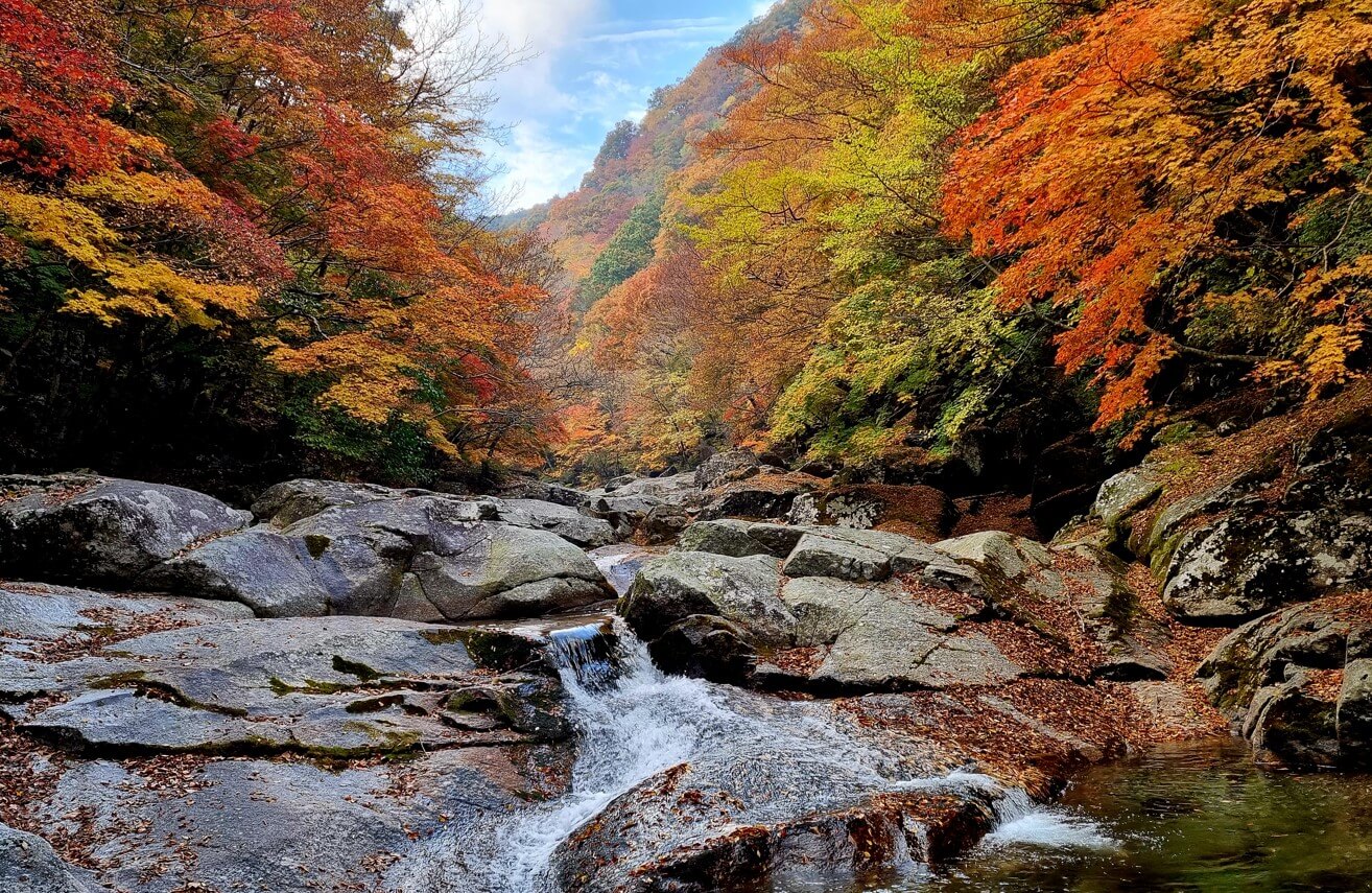 전국 단풍명소, 절정시기