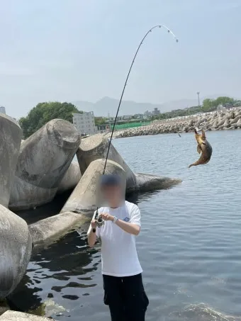 낚시 포인트 추천 강원도 계곡 물때 시간대 장비 준비법_15