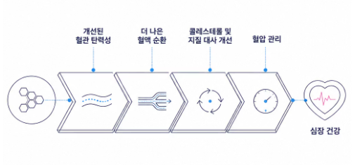 아로니아 효능