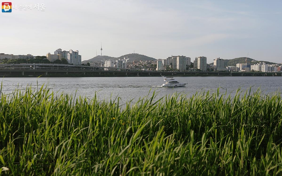 한강 해치카 에서 보는 한강 풍경