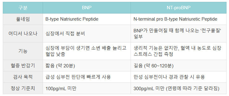 BNP와 NT-proBNP의 차이