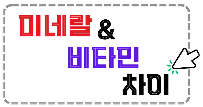 미네랄과 비타민의 차이 알아보기