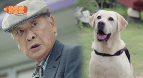 드라마 개소리 비하인트 컷