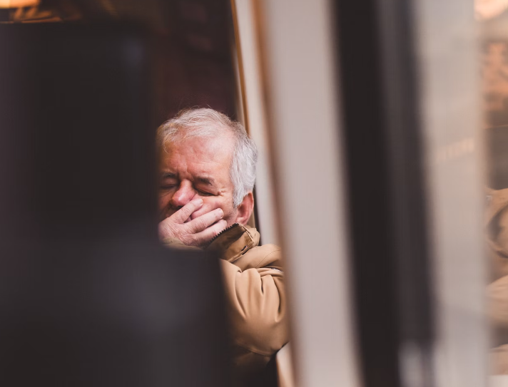 차가버섯 환 효능 : 피로 회복