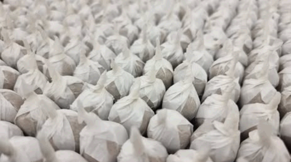 인후단의 효능과 활용법