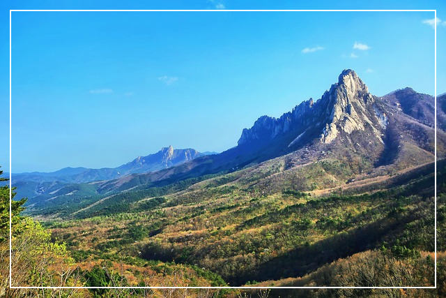 설악산 케이블카 예약_99