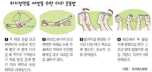 하지정맥류운동