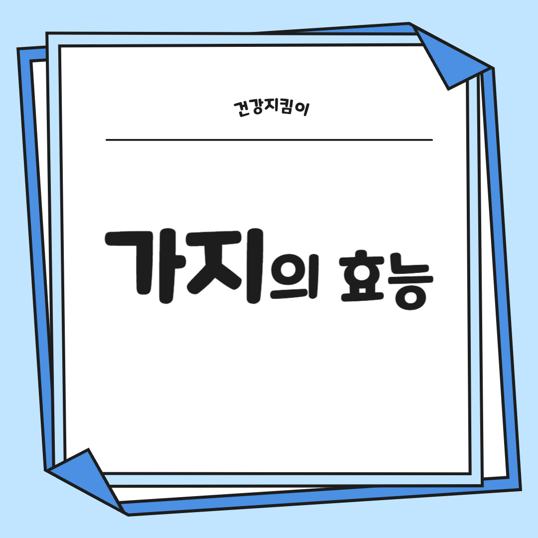 가지 효능 놀라운 9가지 부작용 고르는법 칼로리