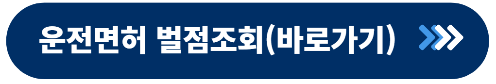 운전면허 벌점조회